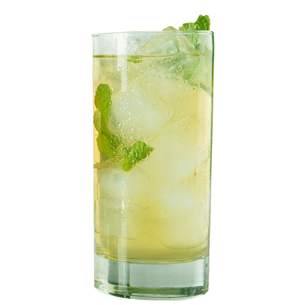 Two Leaves and a Bud Organic Tropcial Green Iced Tea - 3 oz sachets