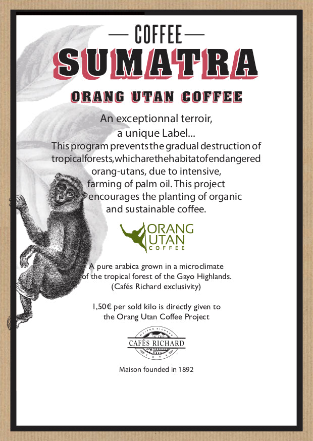 Earth Day Feature: Sumatra OrangUtan Coffee