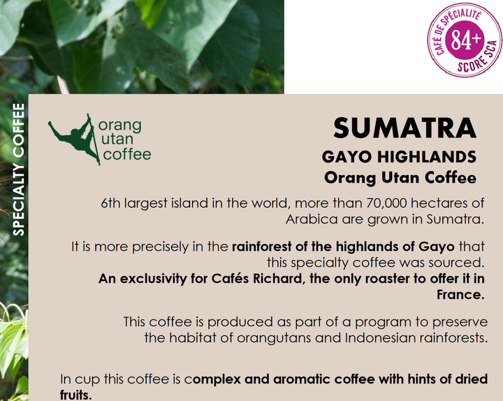 Sumatra Pure Origin Whole Bean