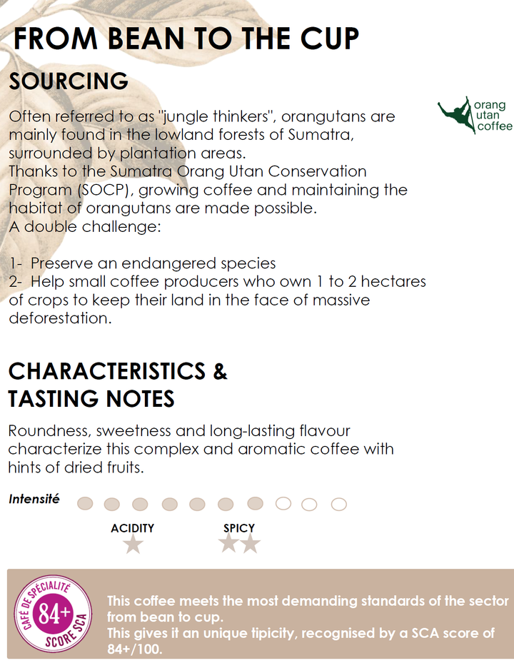 Sumatra Pure Origin Whole Bean