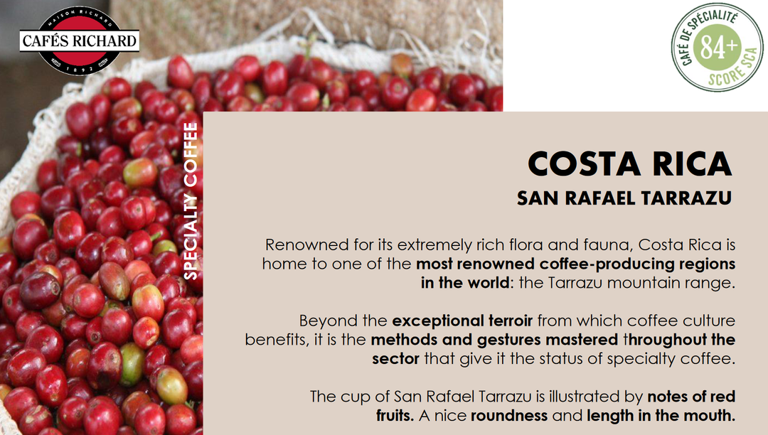 Costa Rica Pure Origin Whole Bean